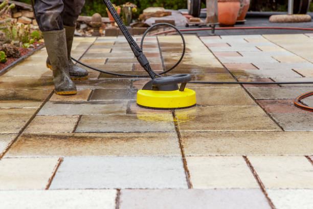 Best Sidewalk and Walkway Cleaning  in Wayne, IL
