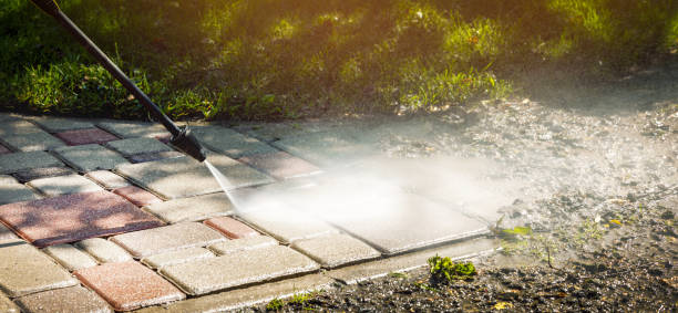 Animal Enclosure Cleaning in Wayne, IL