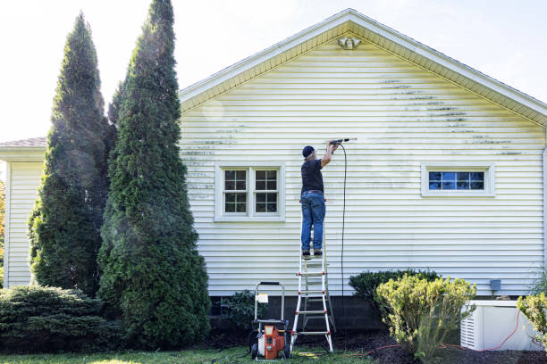 Best Gutter Cleaning  in Wayne, IL